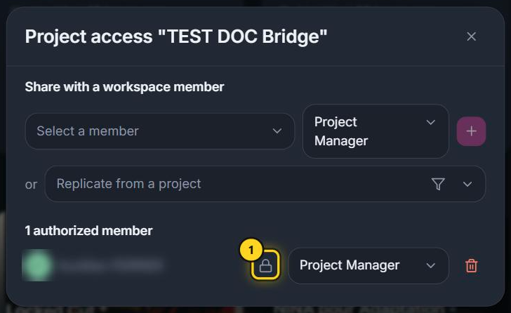 Fenêtre Project access (nom masqué).